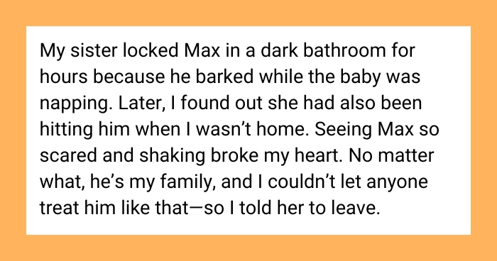 ‘AITA for kicking my sister and her baby out after what she did to my dog?’ ‘I had to teach him a lesson.’
