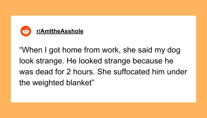 Guy Loves GF But Can’t Get Past Her Refusal To Accept That She Suffocated His Dog, Seeks Advice