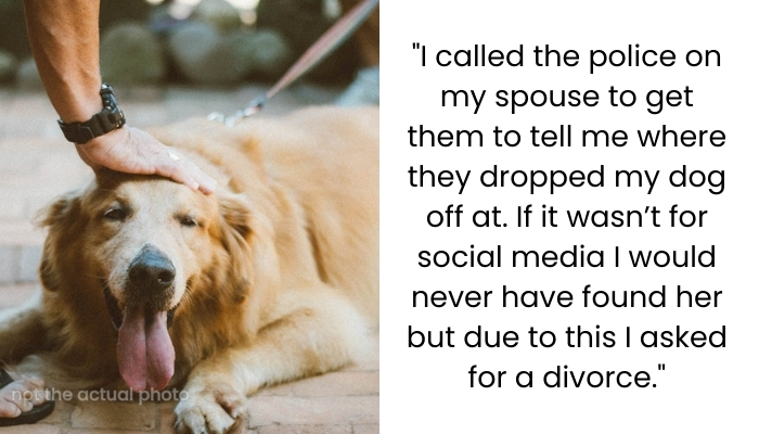 Person Feels Marriage Crumbling To Pieces After Spouse Abandons Their Dog, Seeks Advice Online