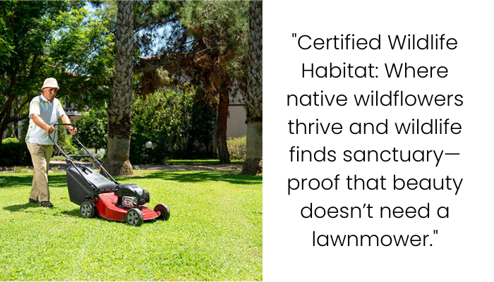 Nosy Neighbor Complains About Weeds So Couple Transforms Yard Into Wildlife Sanctuary