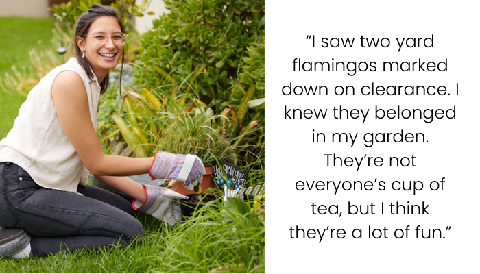 Homeowner Stands Ground on Flamingos Despite Neighborhood Backlash