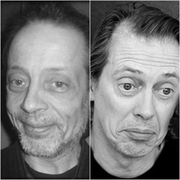 Steve Buscemi: could definitely be his twin