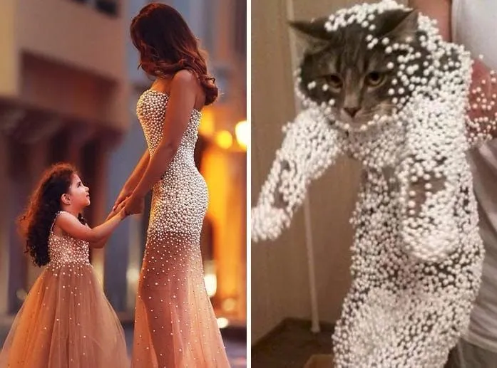 Mother and daughter vs. cat