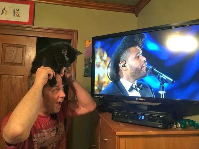 The Weeknd vs. cat dude