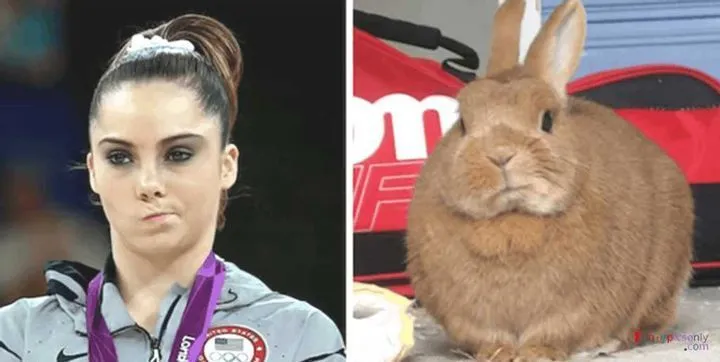 McKayla Maroney vs. bunny